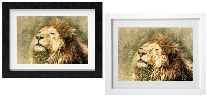 Select Your Frame